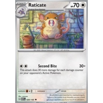 Raticate 020/165