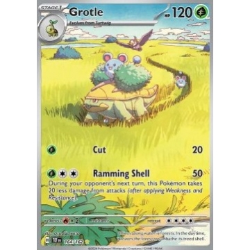 Grotle 164/162